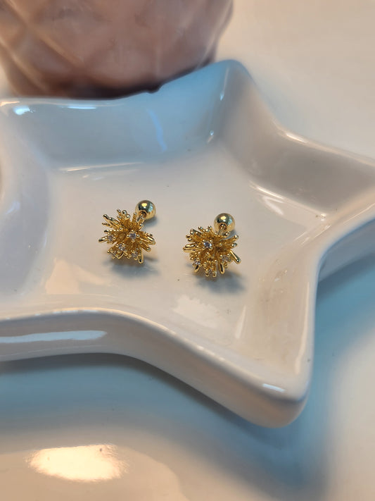 Broquel picos zirconia.